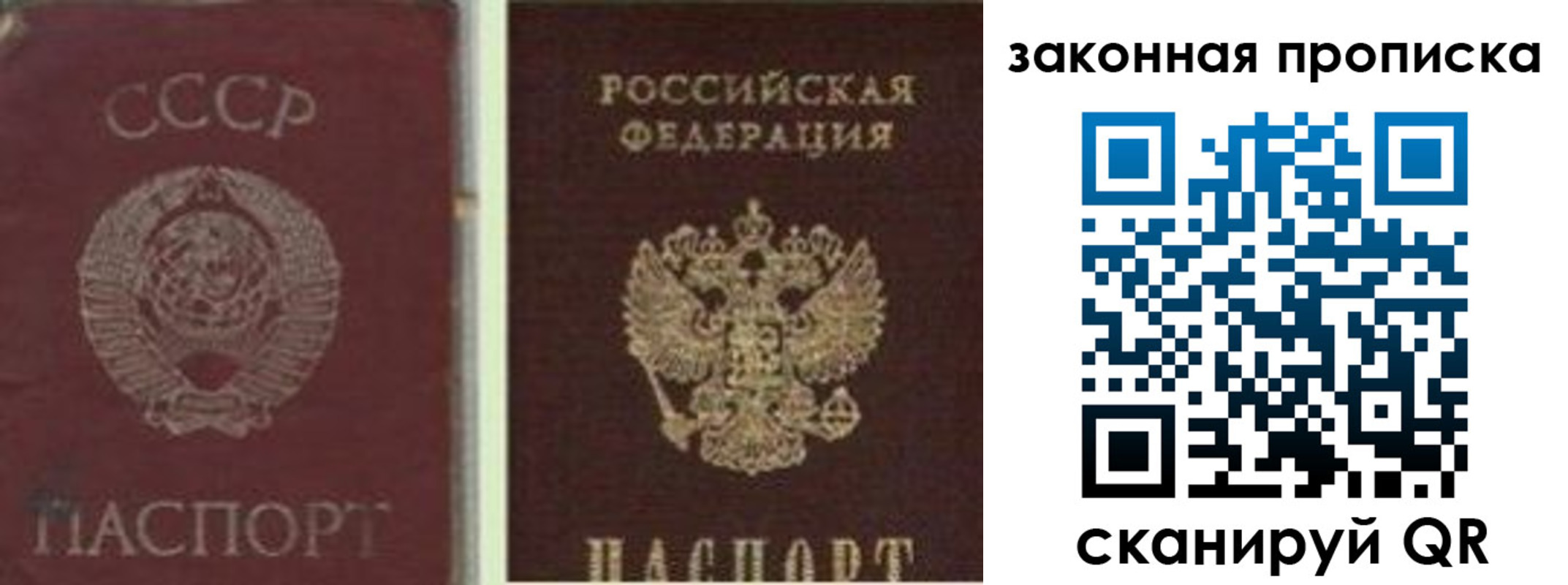 прописка для работы в Павловском Посаде